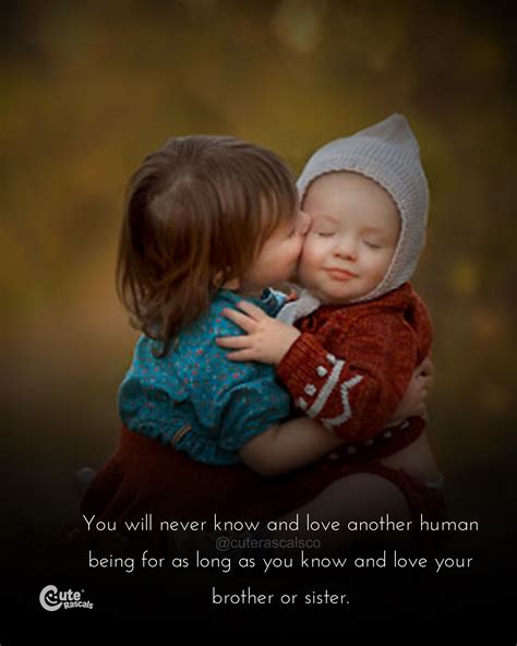 sibling love .